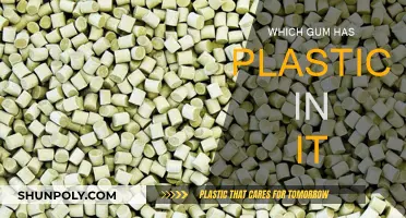 Chewing on Plastic: Gum and its Secrets