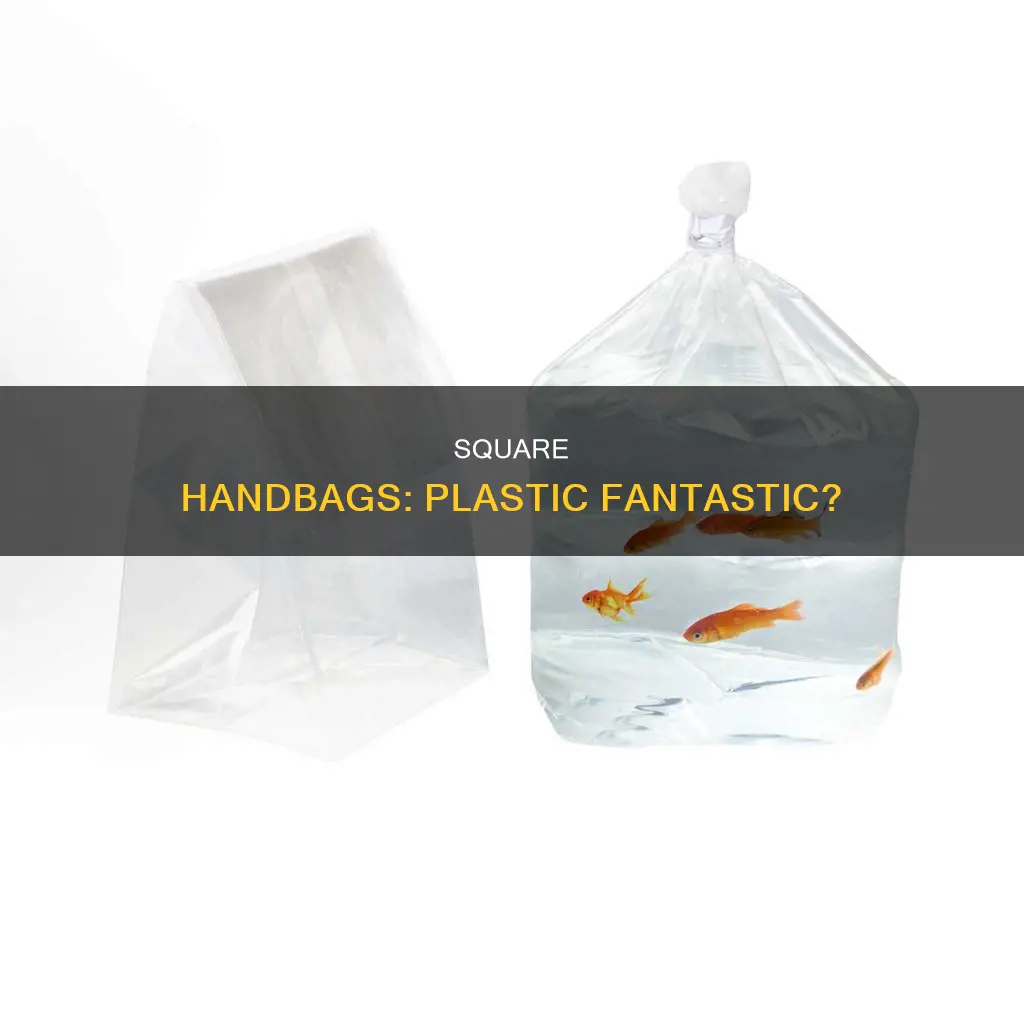 which handbags looks plastics with square