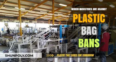 Plastic Bag Bans: Which Industries Resist the Environmental Shift?