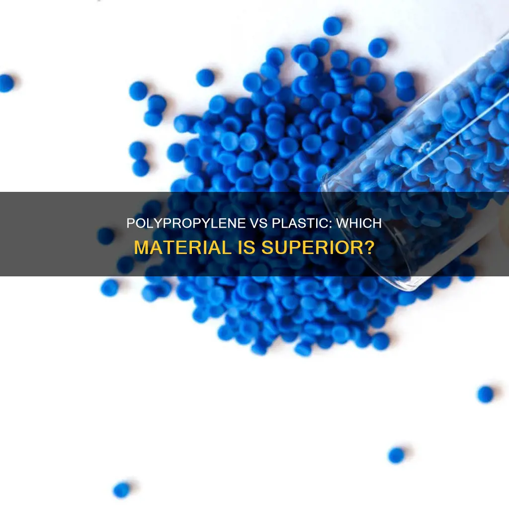 which is best polypropylene or plastic