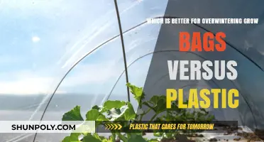 Grow Bags vs. Plastic: Which is Best for Overwintering Plants?