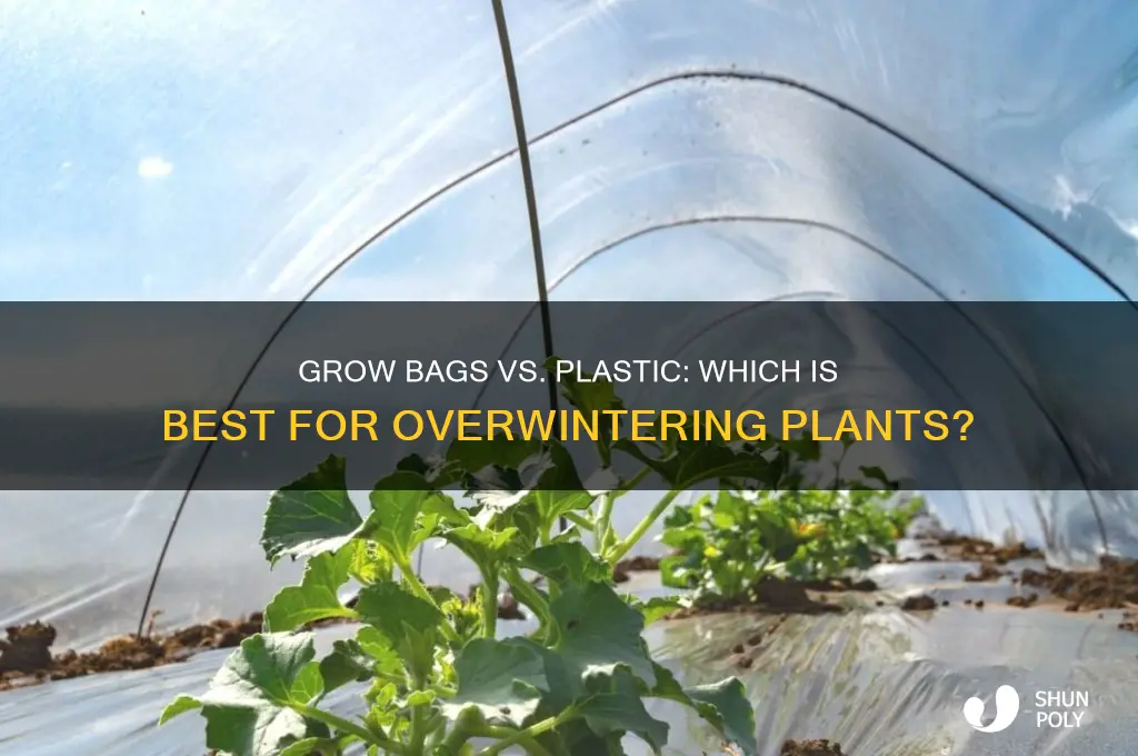 which is better for overwintering grow bags versus plastic