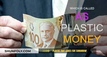 Plastic Money: The Pros and Cons of Credit Cards
