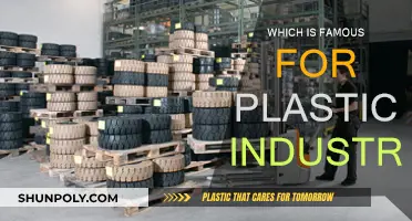 The Plastic Industry's Most Famous Hub