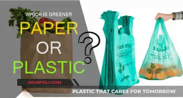 Paper vs Plastic: The Green Debate