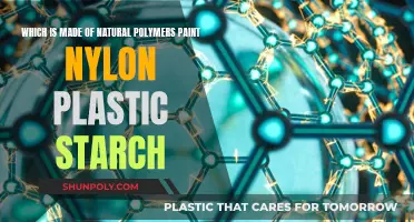 Natural Polymers: Paint, Plastic, and Nylon's Starch Secrets