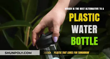 Eco-Friendly Hydration: Top Alternatives to Plastic Water Bottles