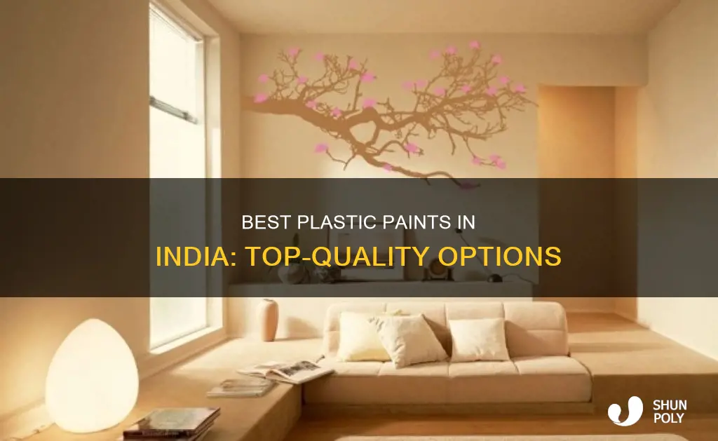 which is the best plastic paint in india