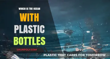 Plastic Bottles in the Ocean: Which Sea Bears the Heaviest Burden?