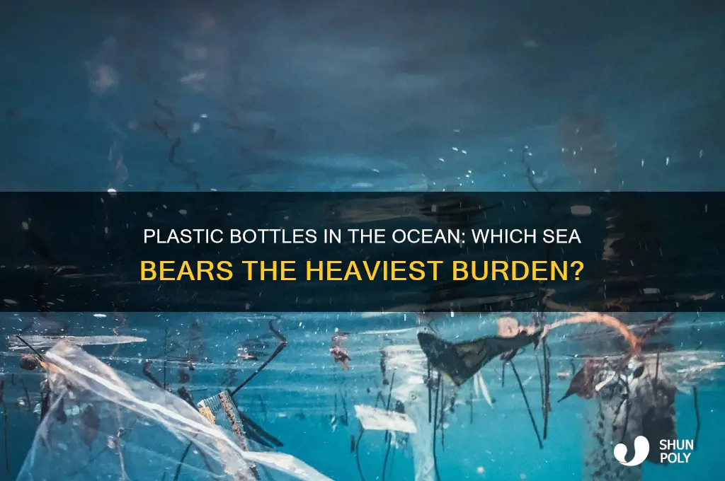 which is the ocean with plastic bottles
