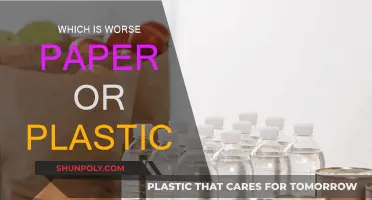Paper vs Plastic: The Battle for Eco-Friendliness