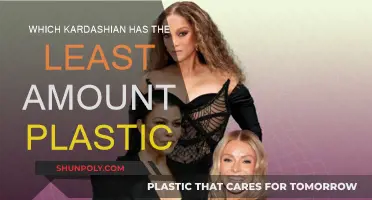Kardashian's Plastic Surgery: Who's Had the Least Done?