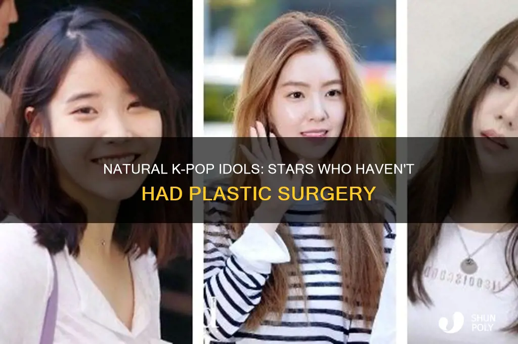 which kpop members didnt get plastic surgery