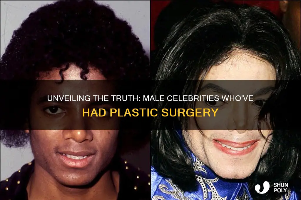 which male celebrities have had plastic surgery