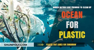 Global Pledge: Which Nation Vowed to Clean Oceans of Plastic?