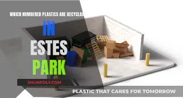 Estes Park's Recyclable Plastics: What Numbers to Look For