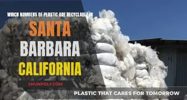 Recycling in Santa Barbara: Understanding Plastic Numbers