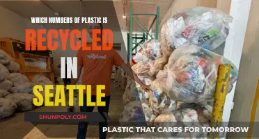 Recycling Revolution: Seattle's Plastic Trailblazers