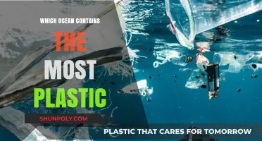 The Pacific Ocean: A Plastic Soup?