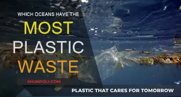 Plastic Pollution: Oceans With the Most Waste