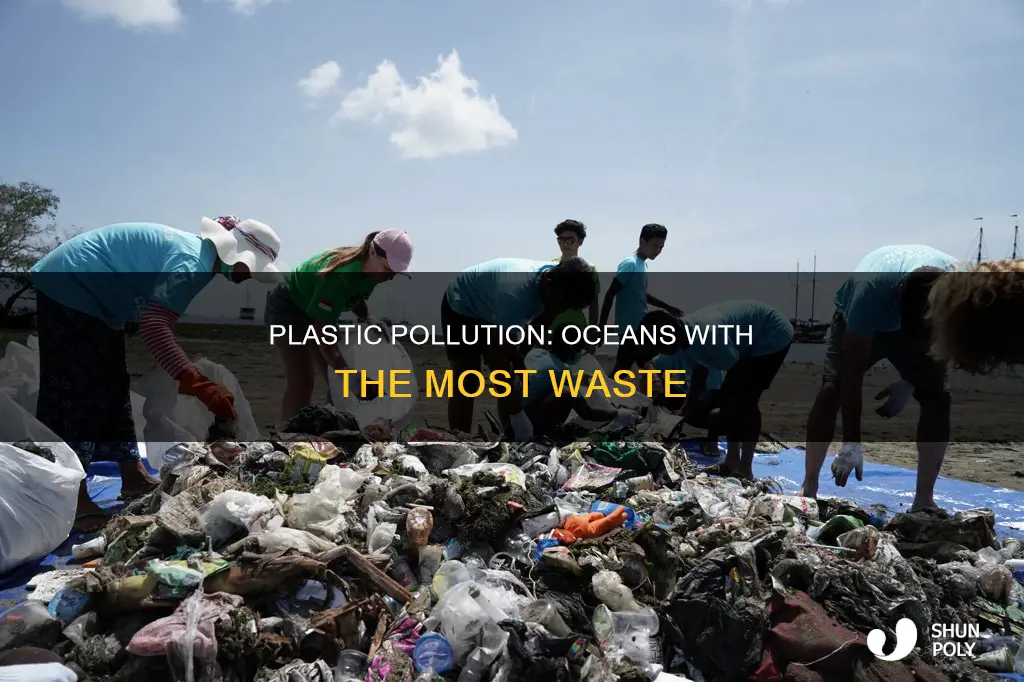 which oceans have the most plastic waste