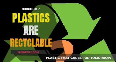Recyclable Plastics: Understanding the 7 Types for a Greener Tomorrow