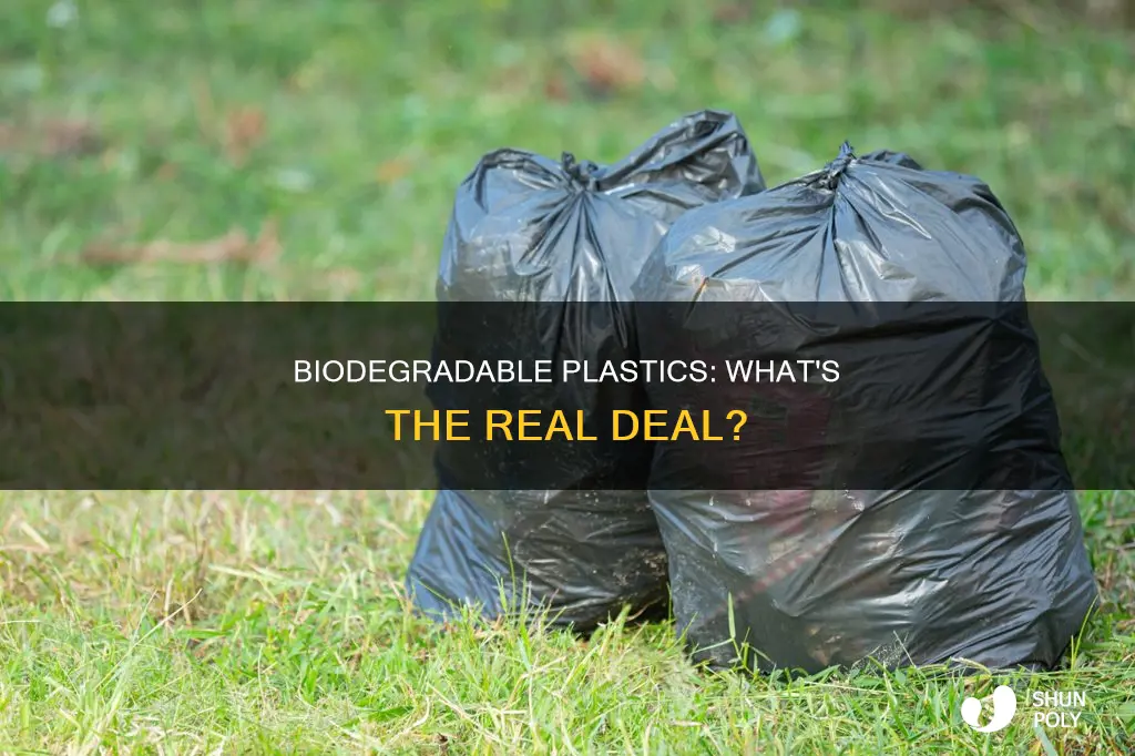 which of the following is biodegradable plastic