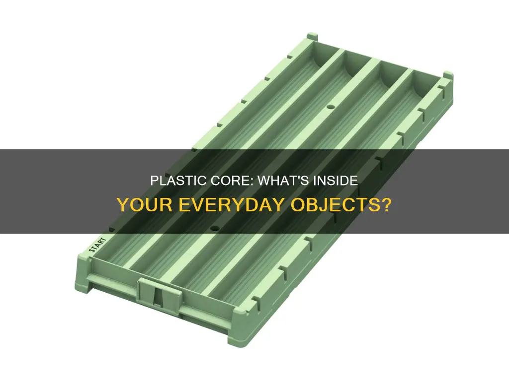 which of the following usually contains a solid plastic core