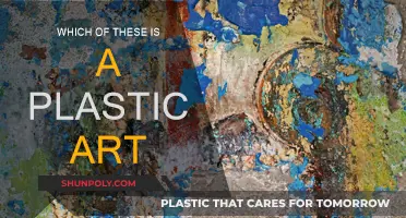 Explore the Plastic Arts: Which One is it?