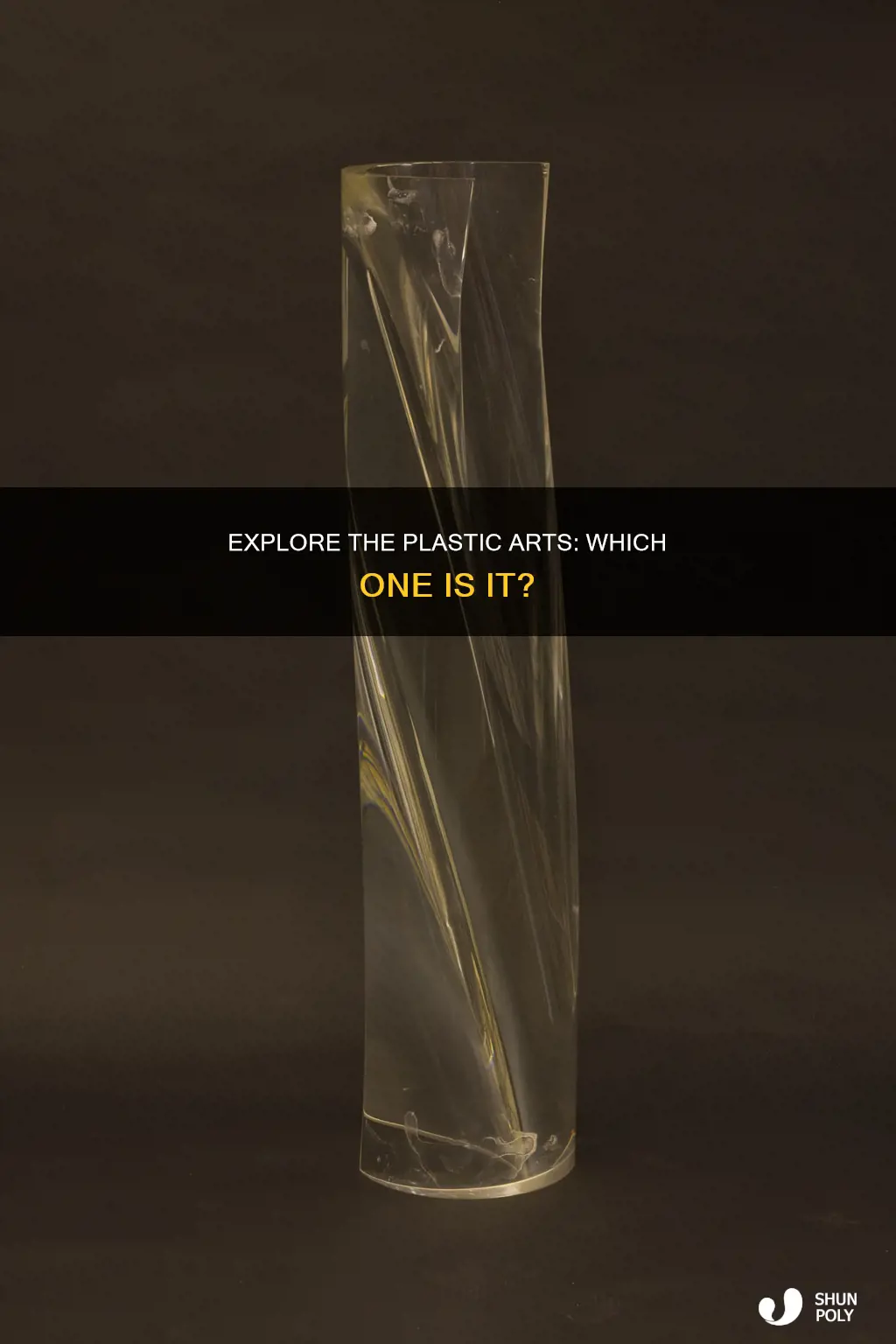 which of these is a plastic art