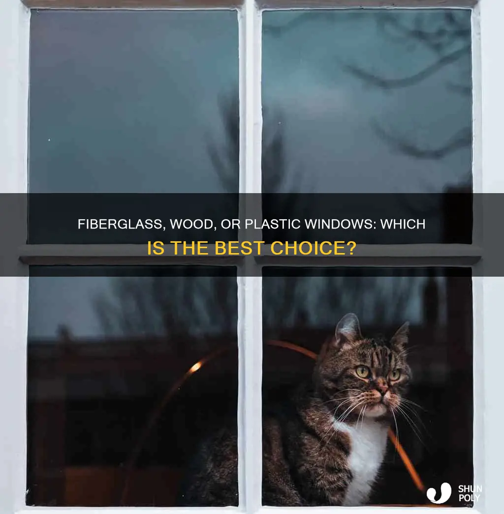 which one wood fiberglass or plastic windows