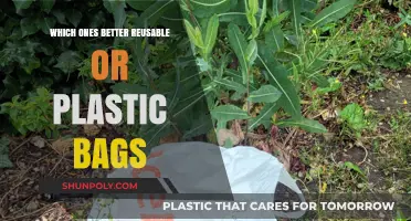 Reusable vs. Plastic Bags: Which is the Eco-Friendly Choice?