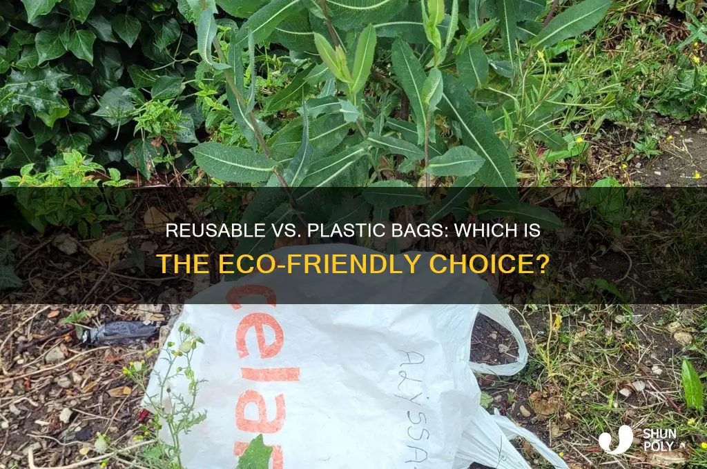 which ones better reusable or plastic bags