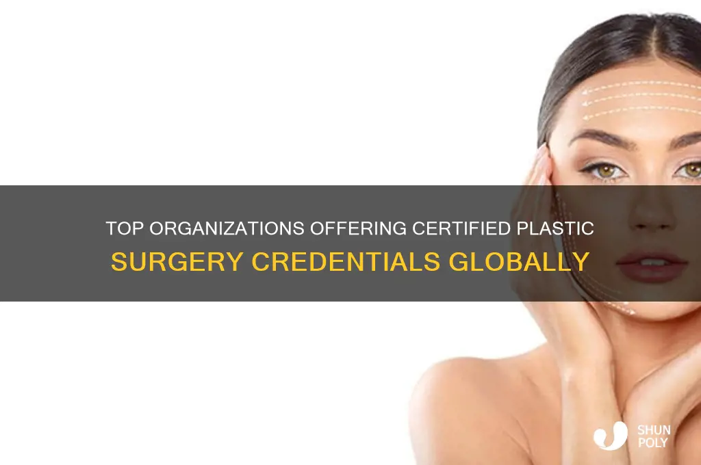 which organization offers certifications in plastic surgery