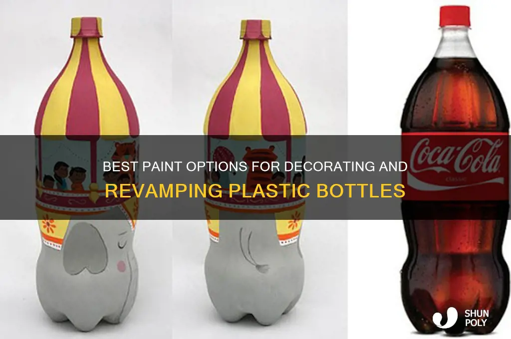 which paint is best for plastic bottles