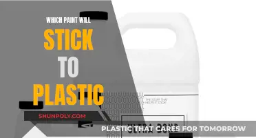 Best Paints for Plastic: Ultimate Sticky Solutions