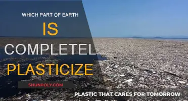 Plastic Pollution: The Earth's Plasticized Oceans
