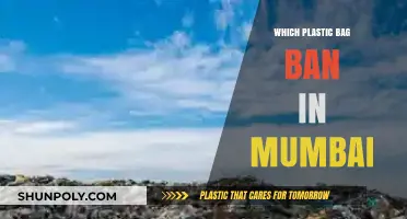 Mumbai's Plastic Bag Ban: Impact, Challenges, and Sustainable Alternatives