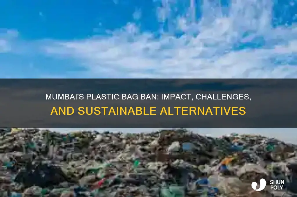 which plastic bag ban in mumbai
