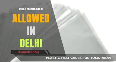 Delhi's Plastic Bag Rules: Which Types Are Allowed and Banned?