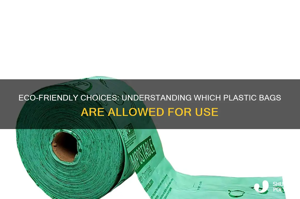 which plastic bag is allowed