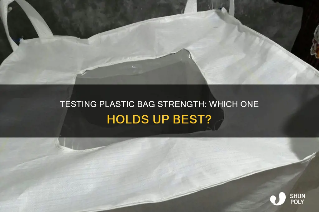 which plastic bag is the strongest experiment