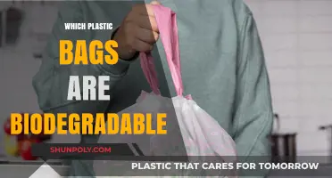 Eco-Friendly Choices: Identifying Biodegradable Plastic Bags for a Greener Future