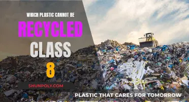 Recycling Plastics: Understanding Non-Recyclable Plastics for Class 8 Students