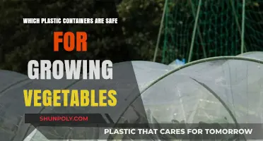 Safe Plastic Containers for Growing Vegetables