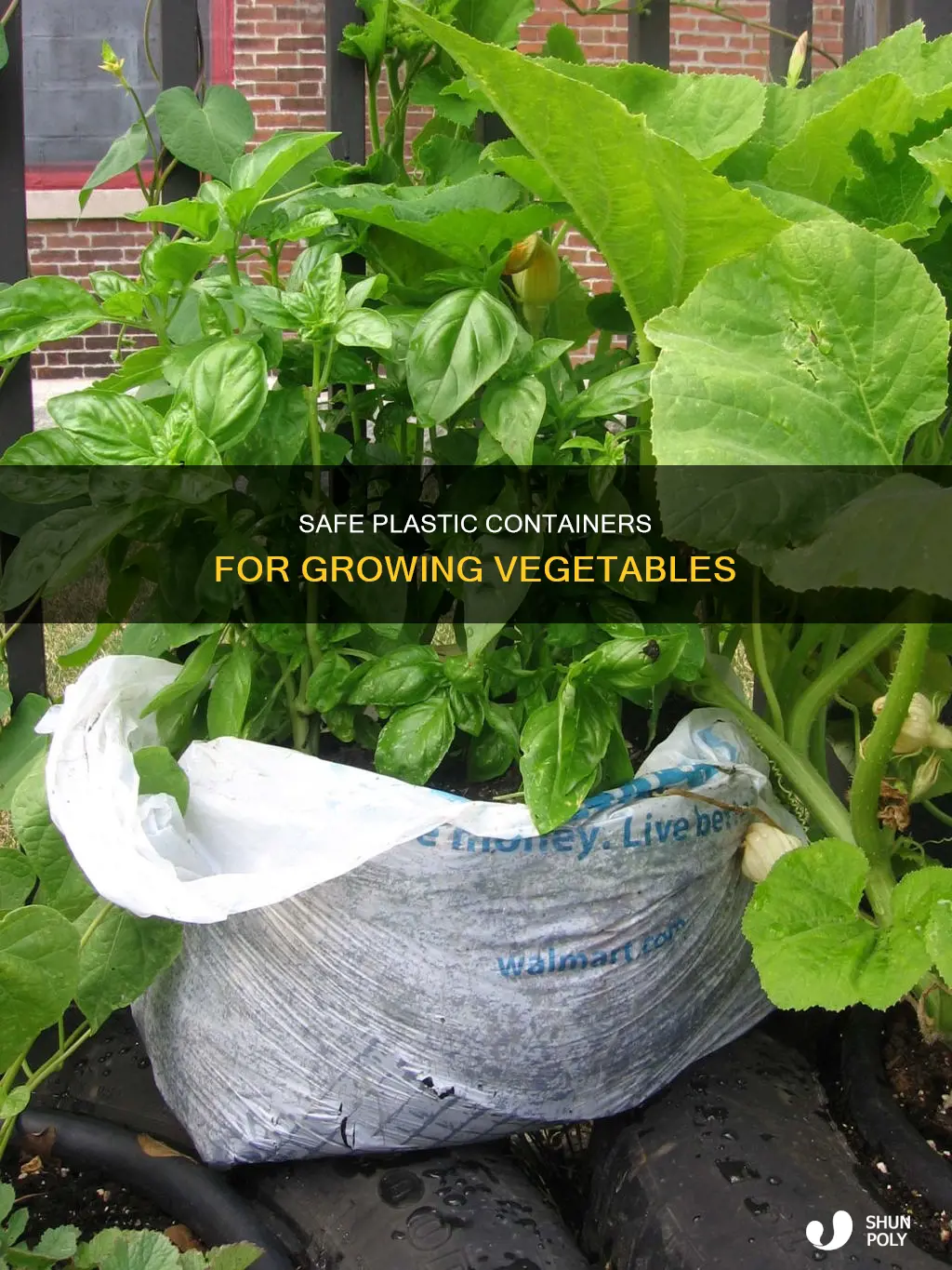 which plastic containers are safe for growing vegetables