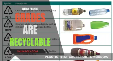 Recycling Plastic: Understanding the Grades and Their Recyclability