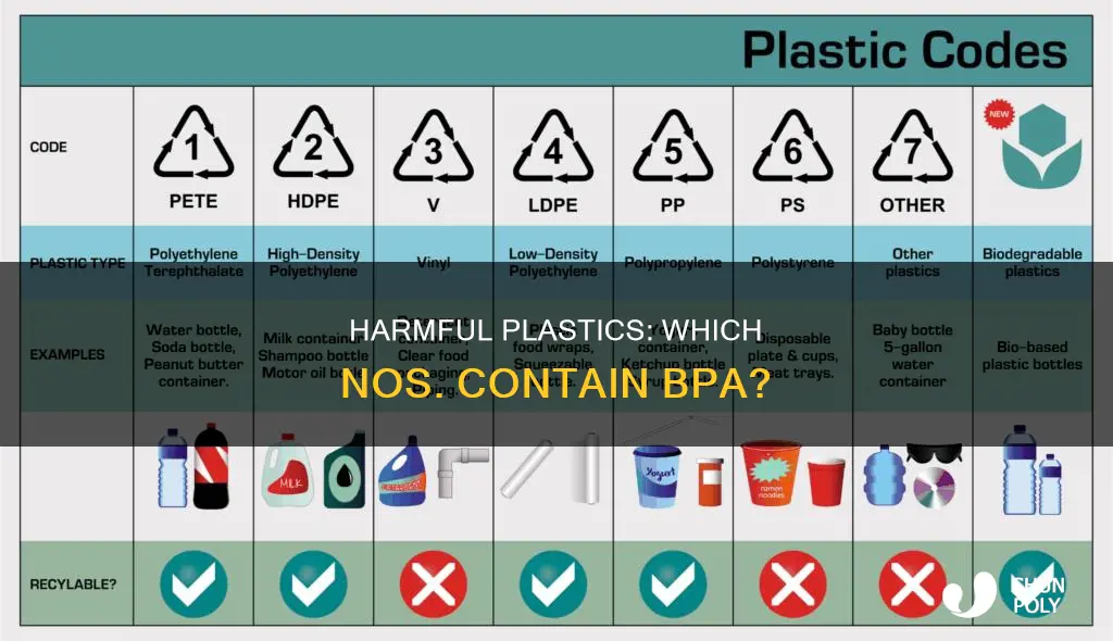 which plastic nos contain bpa
