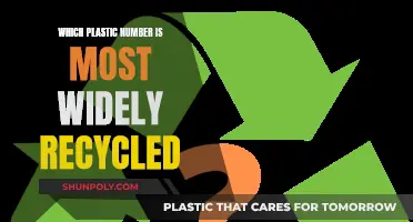 Recycling Revolution: Widely Recycled Plastic Numbers Explained