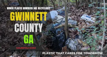 Recycling Plastic in Gwinnett County: What Numbers Are Accepted?